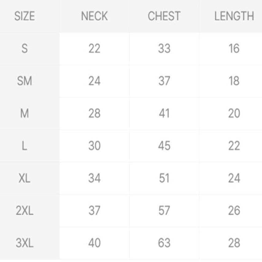 irene denim corset