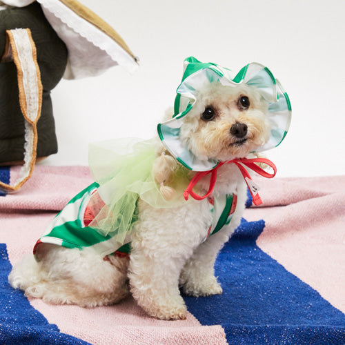 Watermelon Bonnet