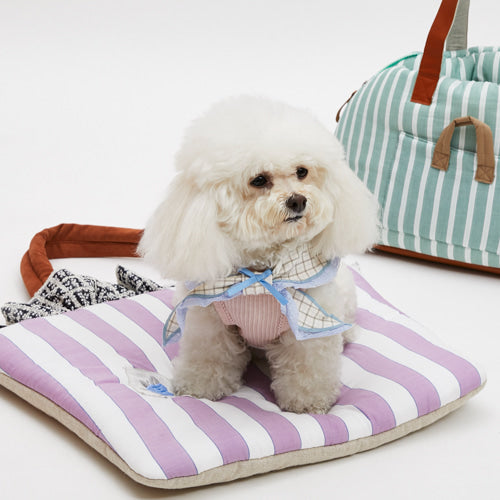 Louisdog Blue bebe scarf