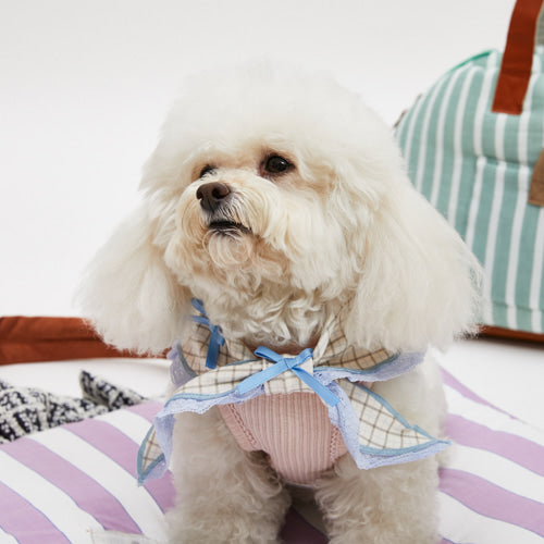 Louisdog Blue bebe scarf