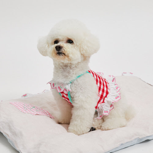 Louisdog (M) Cherry mint Pool club bonnet