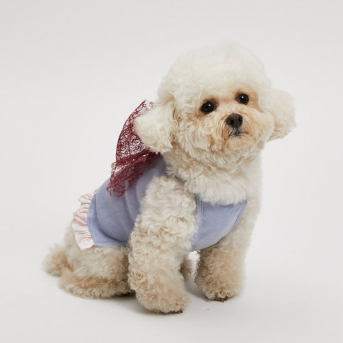 Louisdog (SM) Dream Blue Organic Big Bow Top