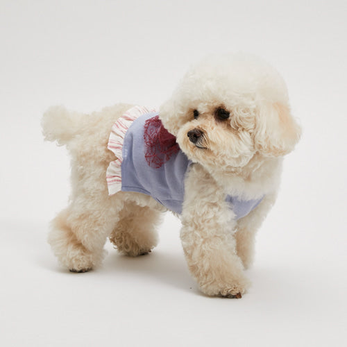Louisdog (SM) Dream Blue Organic Big Bow Top