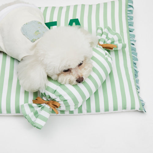 Louisdog-Green Stripe Candy Pillow