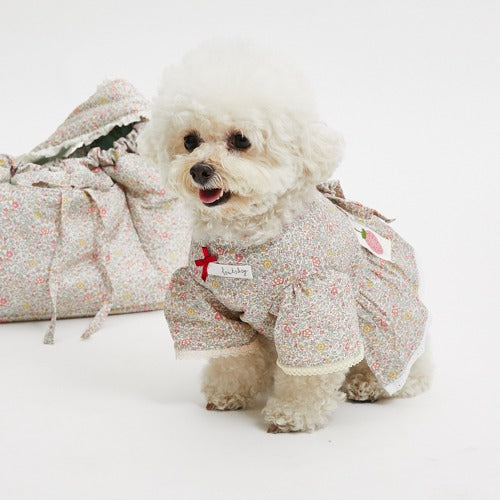 Louisdog (SM) Liberty Kaite