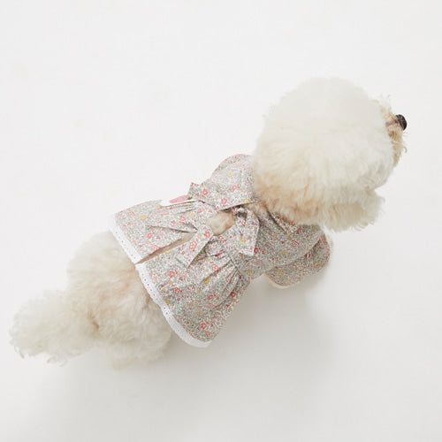 Louisdog (SM) Liberty Kaite