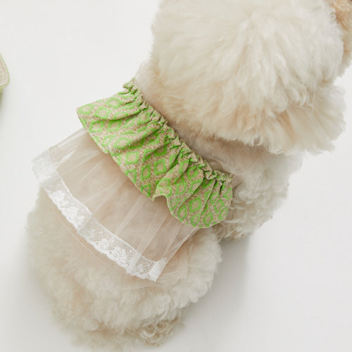 Louisdog (SM/M) Mesh Bow TOP/Glam Lime