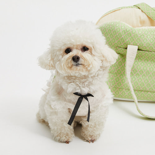 Louisdog (SM/M) Mesh Bow TOP/Glam Lime