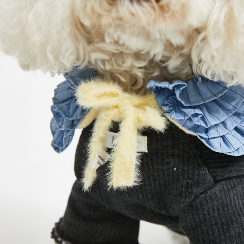 Louisdog-M-Oh la la Cape