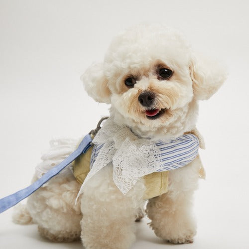 Louisdog-Organic Linen Harness Set