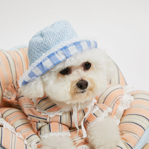 Louisdog-Palm Springs Revesible Bucket Hat/Blue Gingham