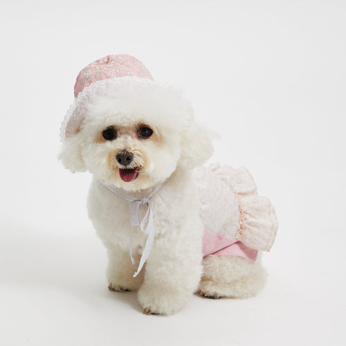Louisdog (SM)-Palm springs popcorn dress