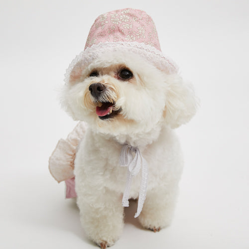 Louisdog (SM)-Palm springs popcorn dress
