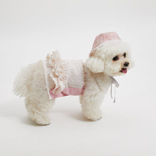 Louisdog (SM)-Palm springs popcorn dress