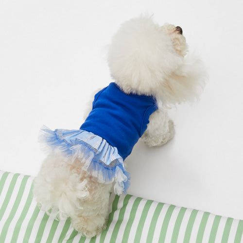 Louisdog (M) Princess Blue top