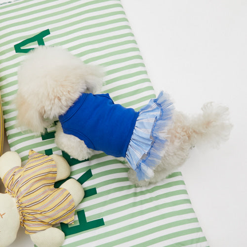Louisdog (M) Princess Blue top