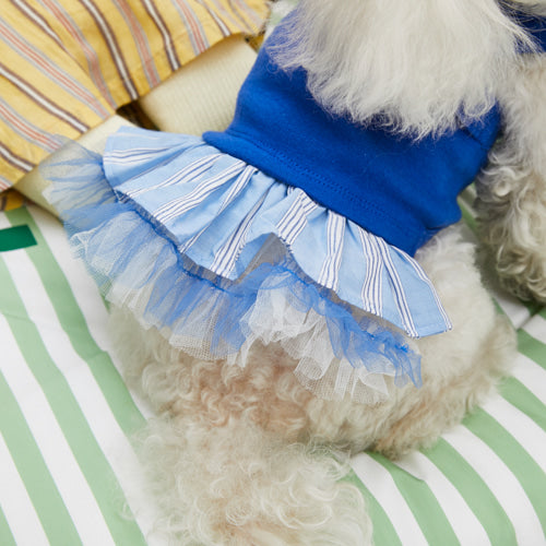 Louisdog (M) Princess Blue top