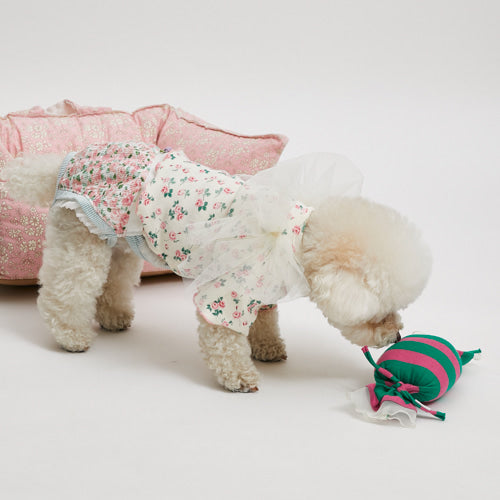 Louisdog (M) Rose Hip Pants