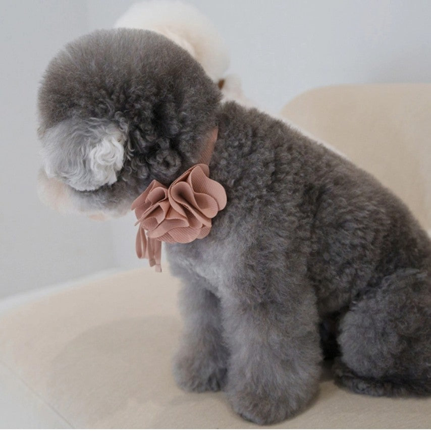 Pink Camellia collar