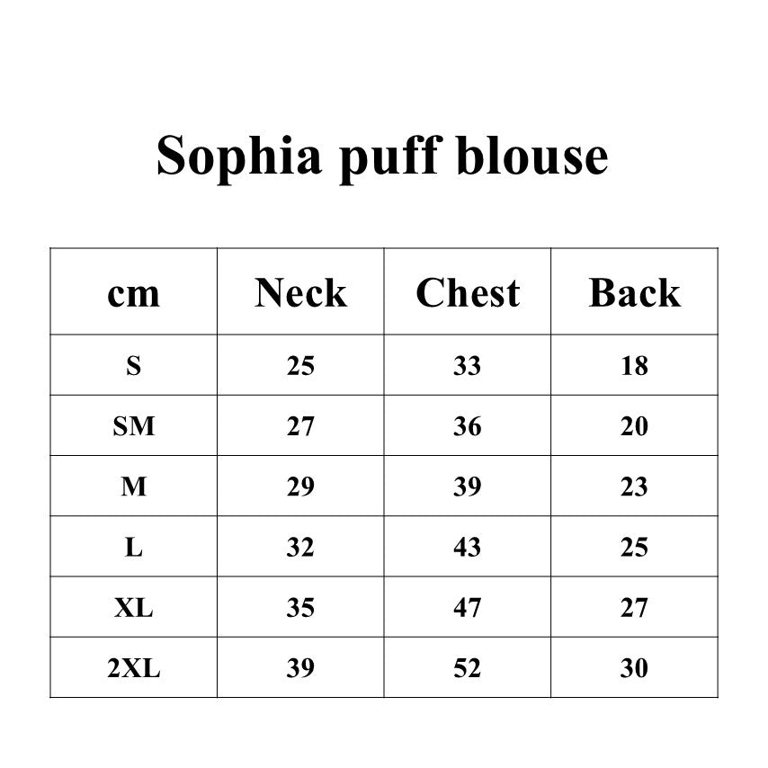 Lorelei Denim sophia puff blouse