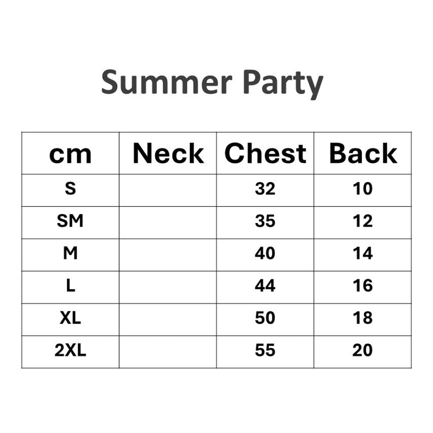 Comocomo Summer party