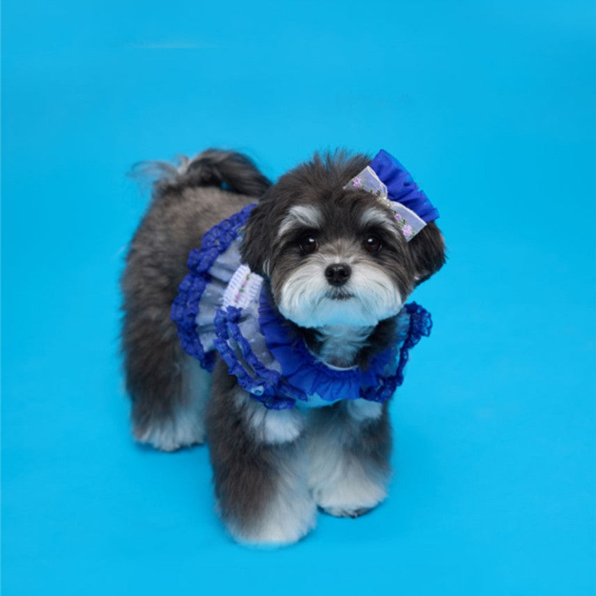 Comocomo FORGADEN BLUE