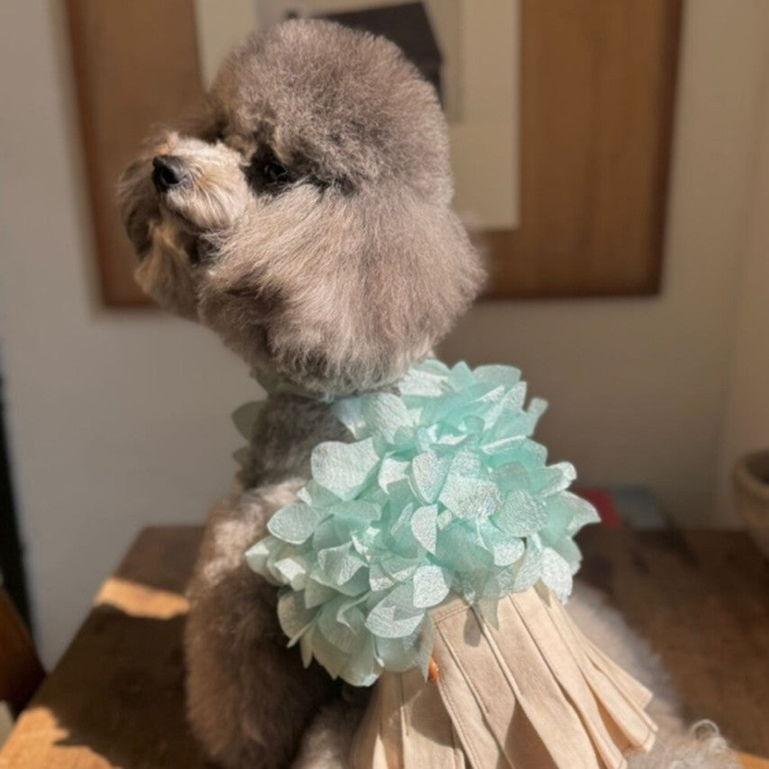 Lorelei Mint maria flower top