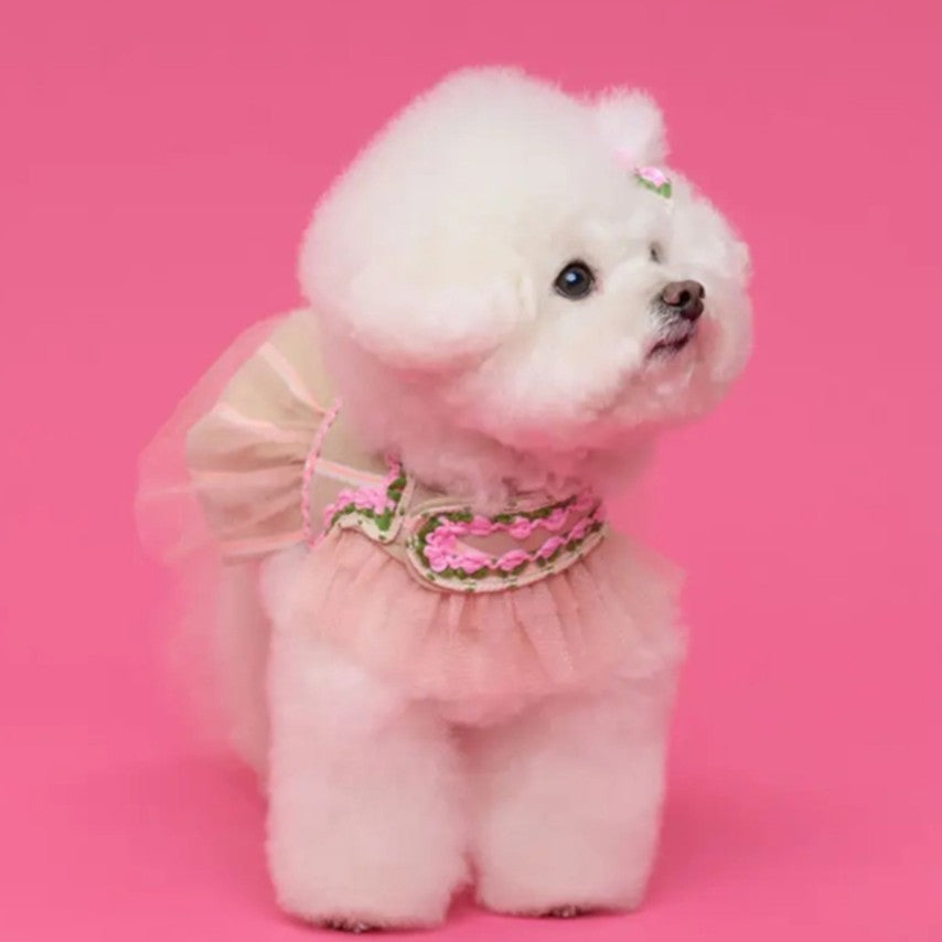 Comocomo Rose tiara harness