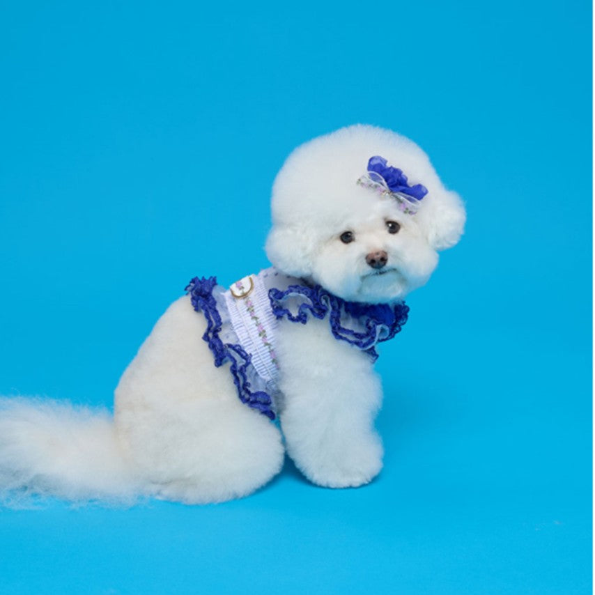 Comocomo FORGADEN BLUE