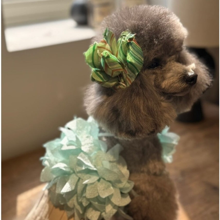 Lorelei Mint maria flower top