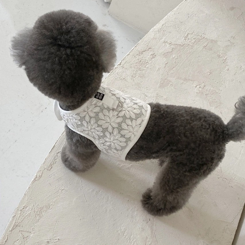 Dahlia harness