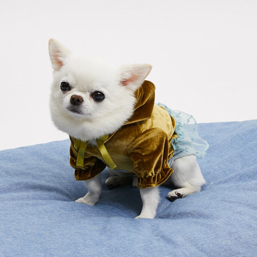 Louisdog (SM) Velour Hoodie Pant