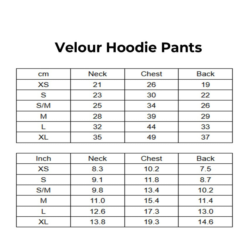 Louisdog (SM) Velour Hoodie Pant