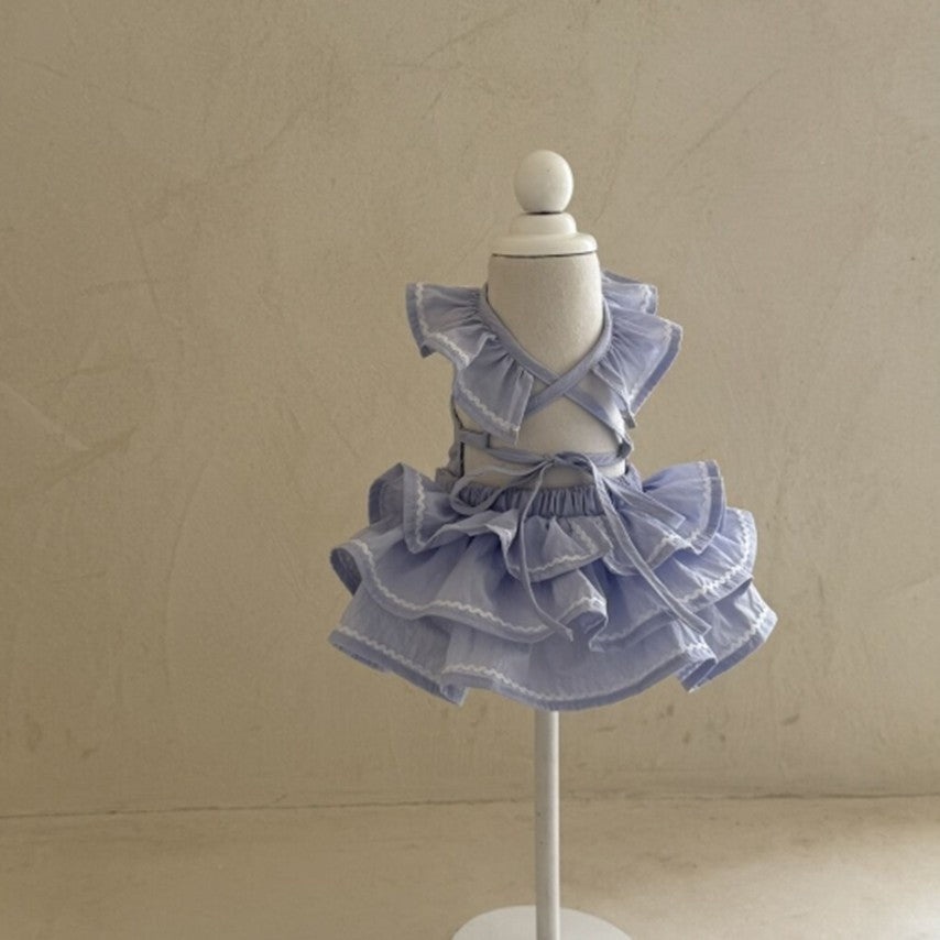 Vintage Cancan Dress