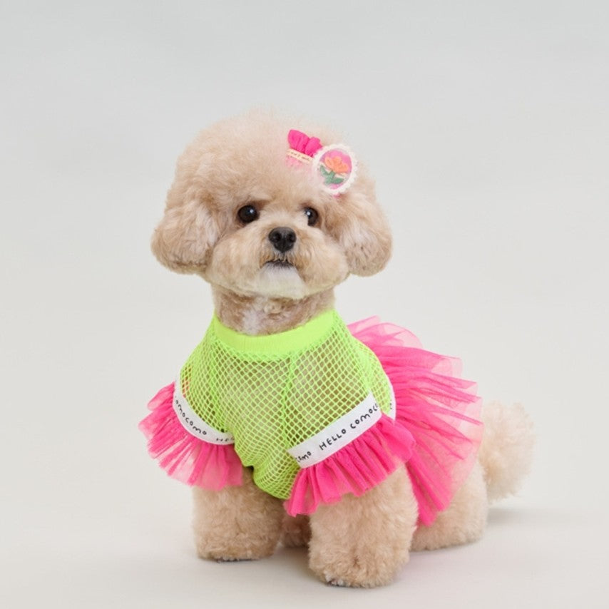 Neon pop