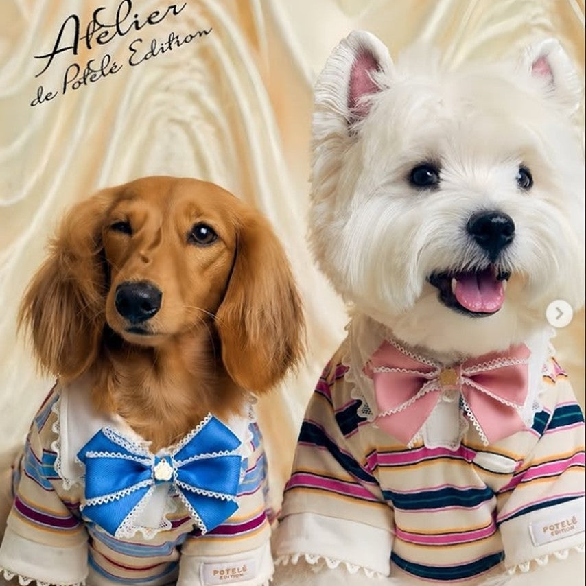 Playdate Polo