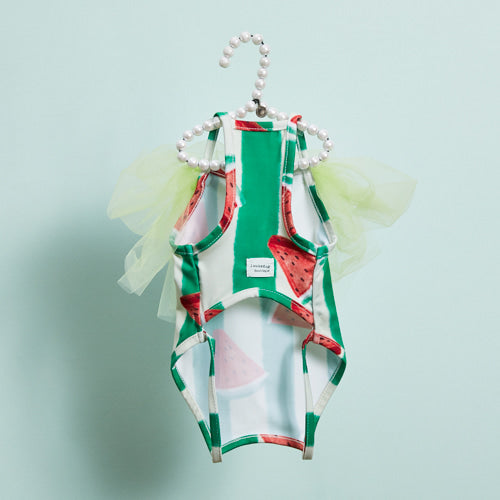 Watermelon Bodysuit