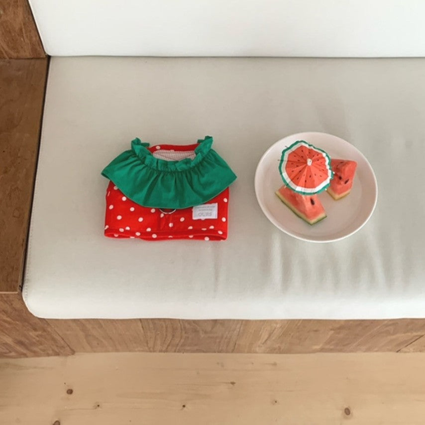 Watermelon Harness