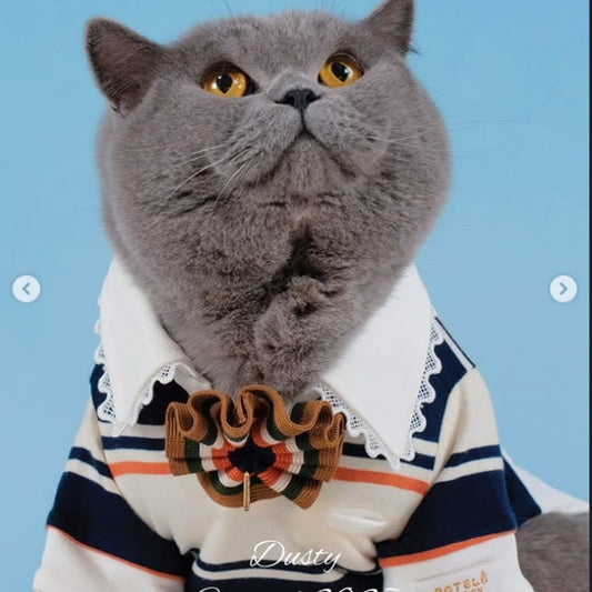 Playdate Polo Shirt