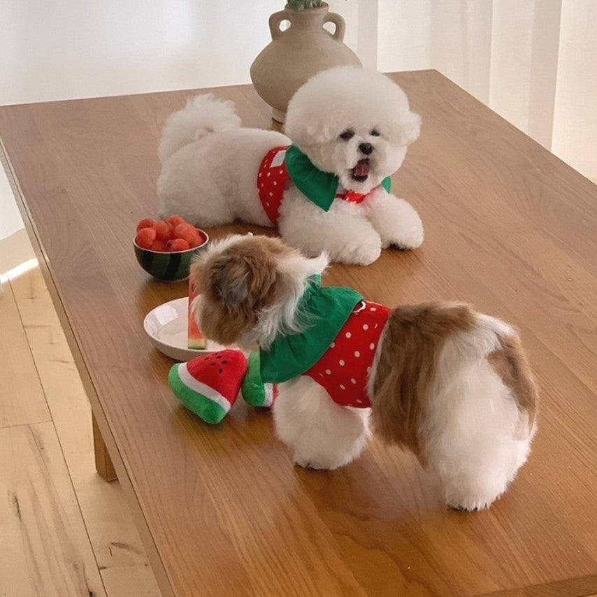 Watermelon Harness