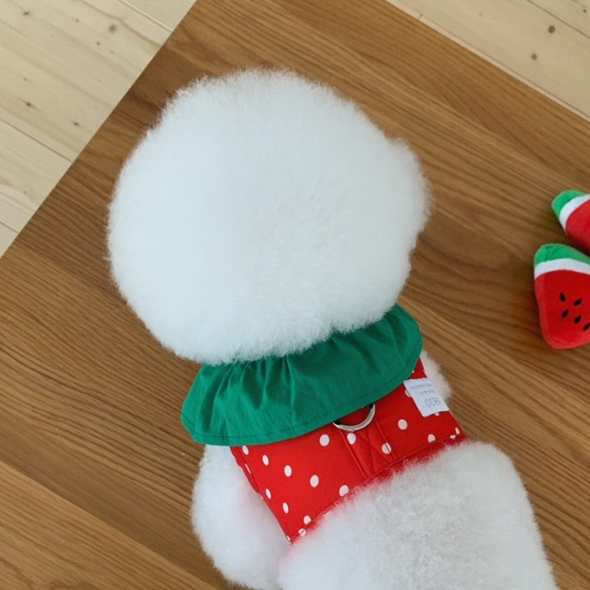 Watermelon Harness