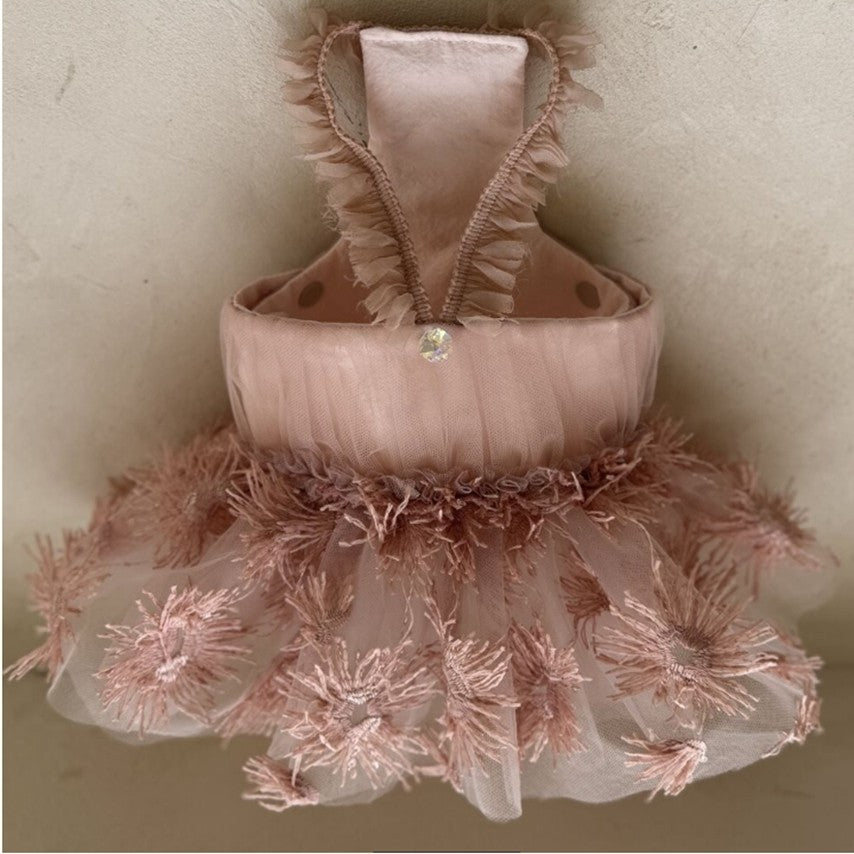 Pink Paris Tutu