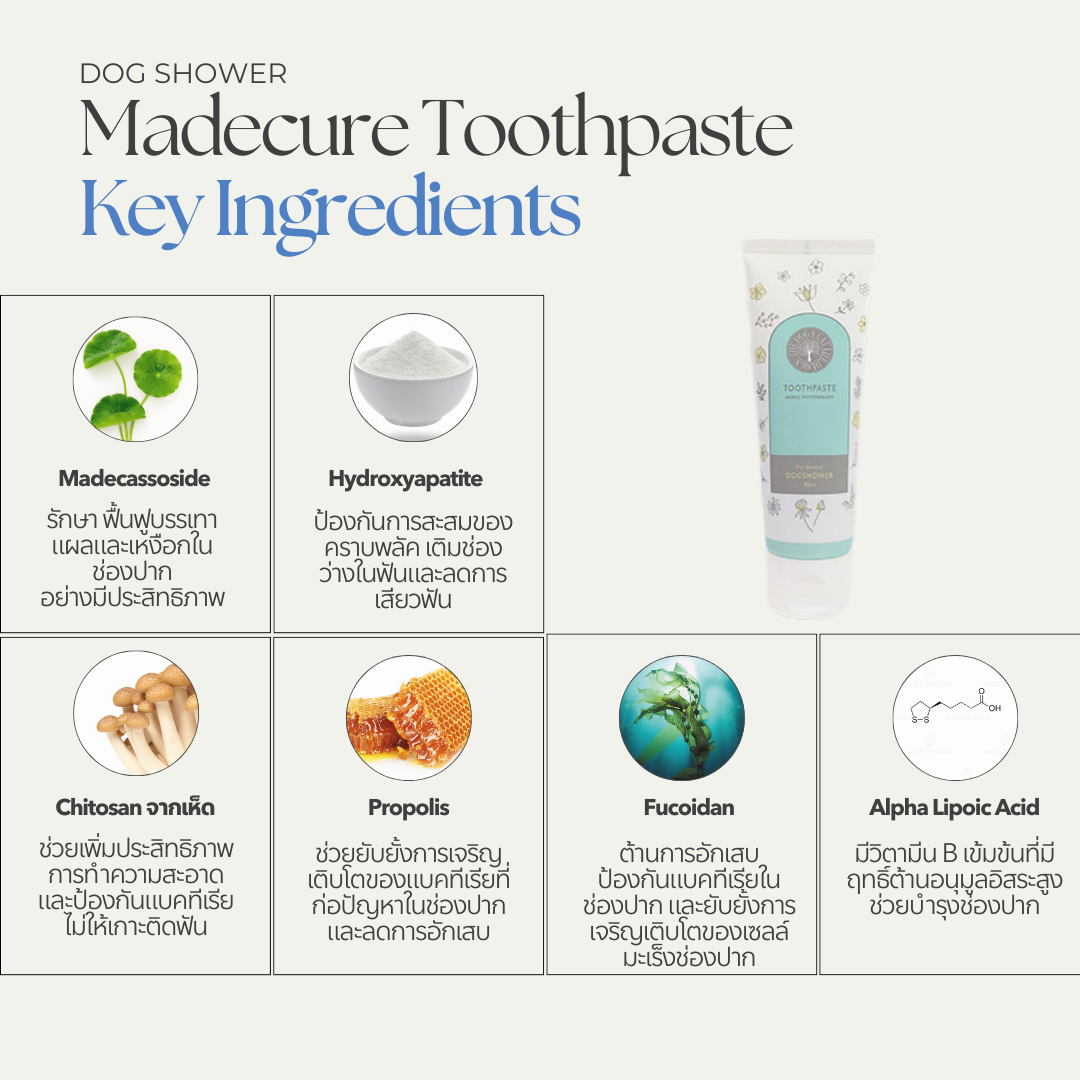 Madecure Toothpaste