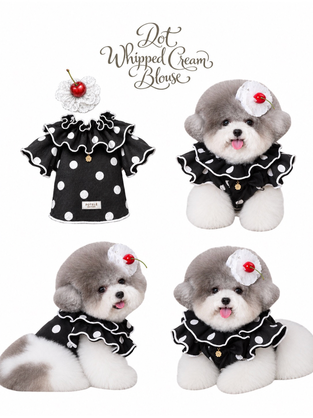 Black with White Dots Dot Whipped Cream Blouse
