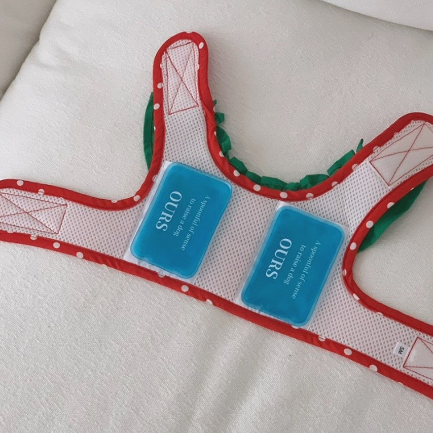 Watermelon Harness