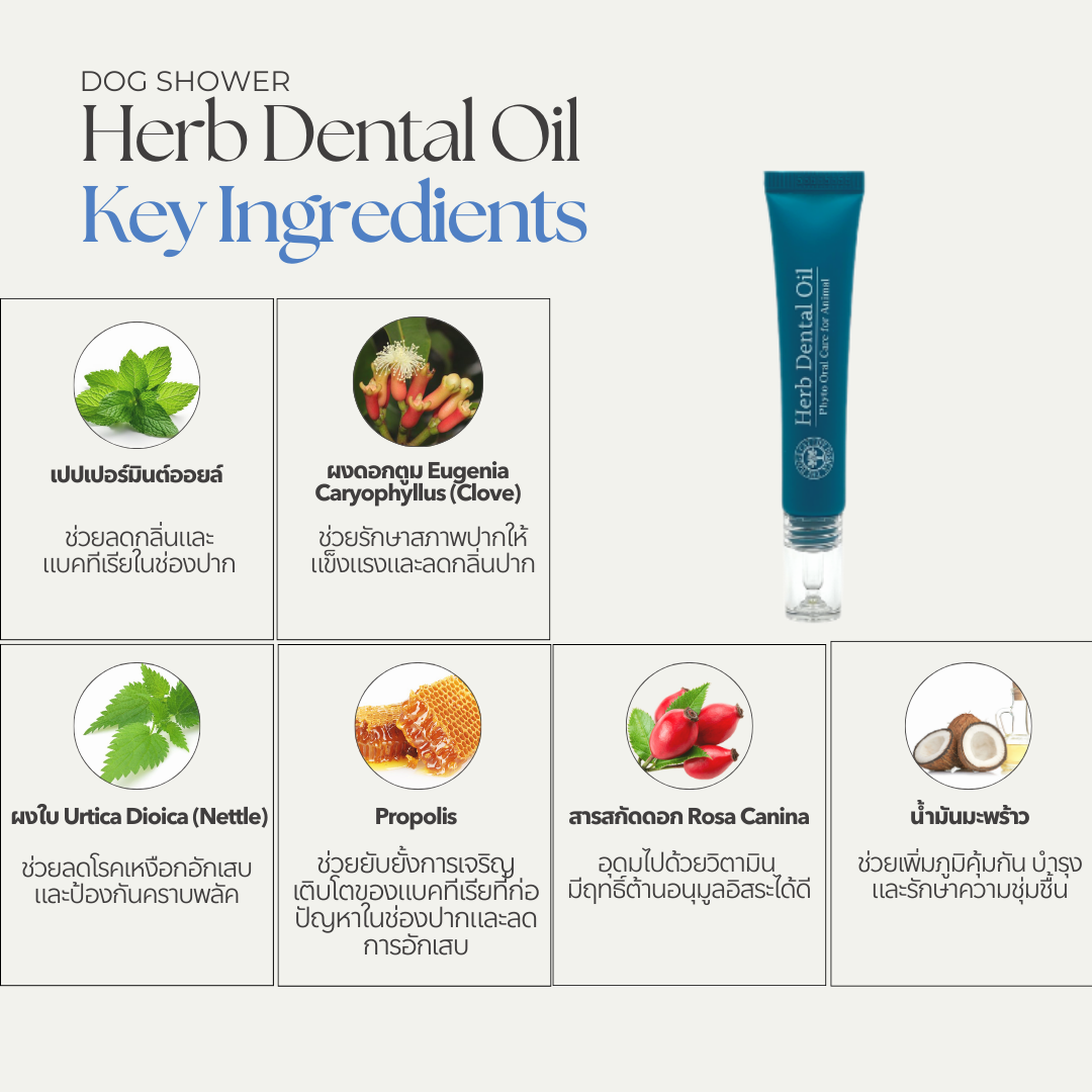 Herb Dental Oil