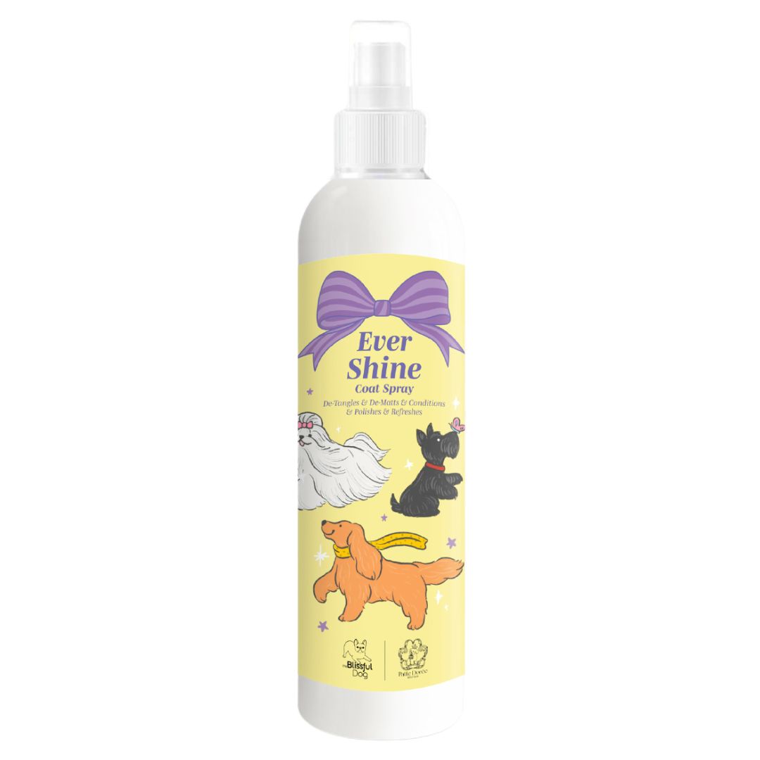 Ever Shine Coat Spray