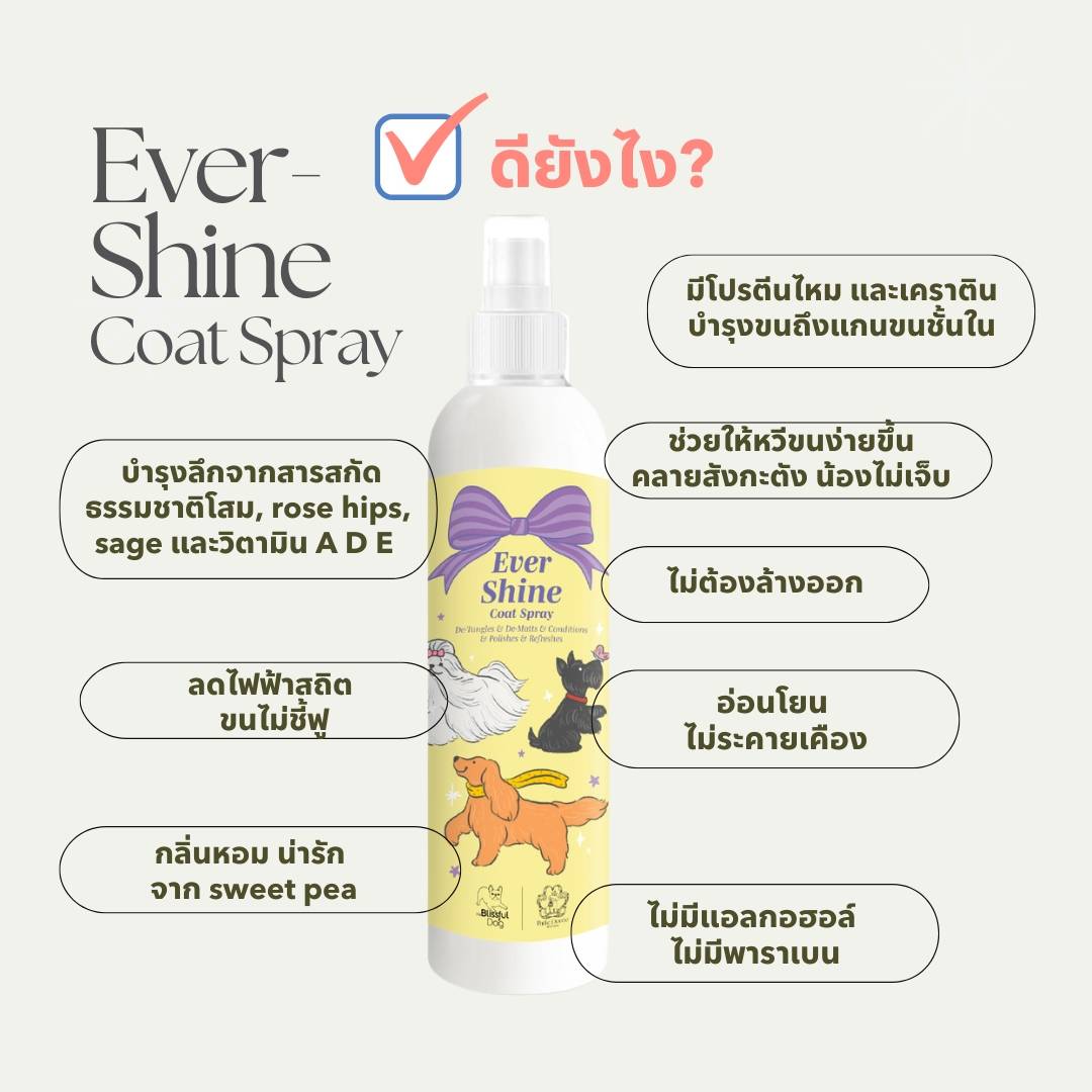 Ever Shine Coat Spray