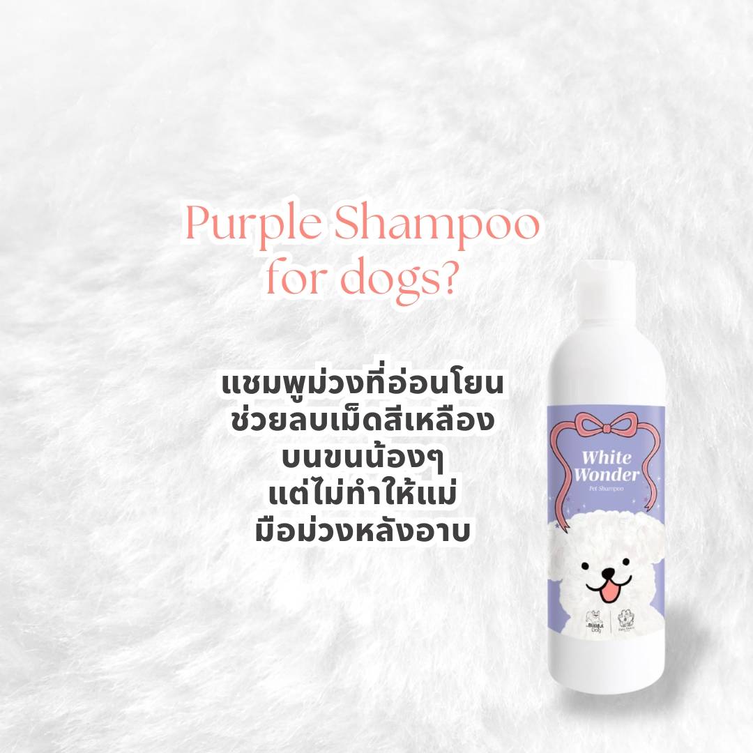 White Wonder Pet Shampoo