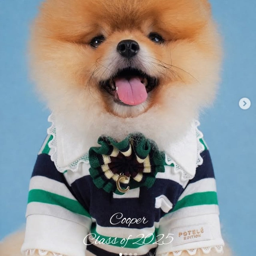 Playdate Polo Shirt